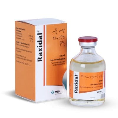 BORGAL X 50 ML