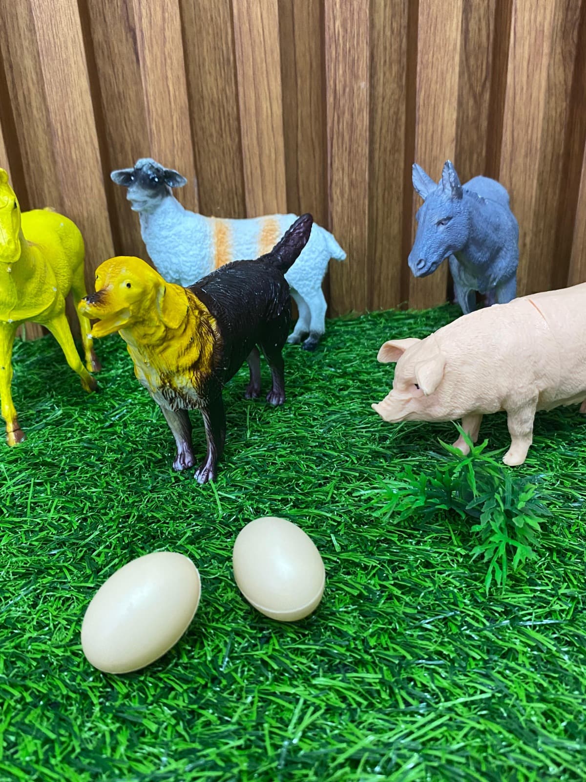 Set De Grana x6 Animales