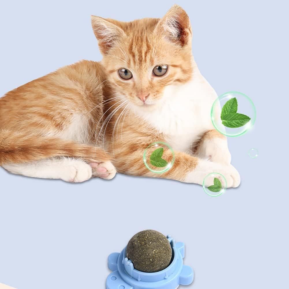 Juego para gatos hierbas naturales