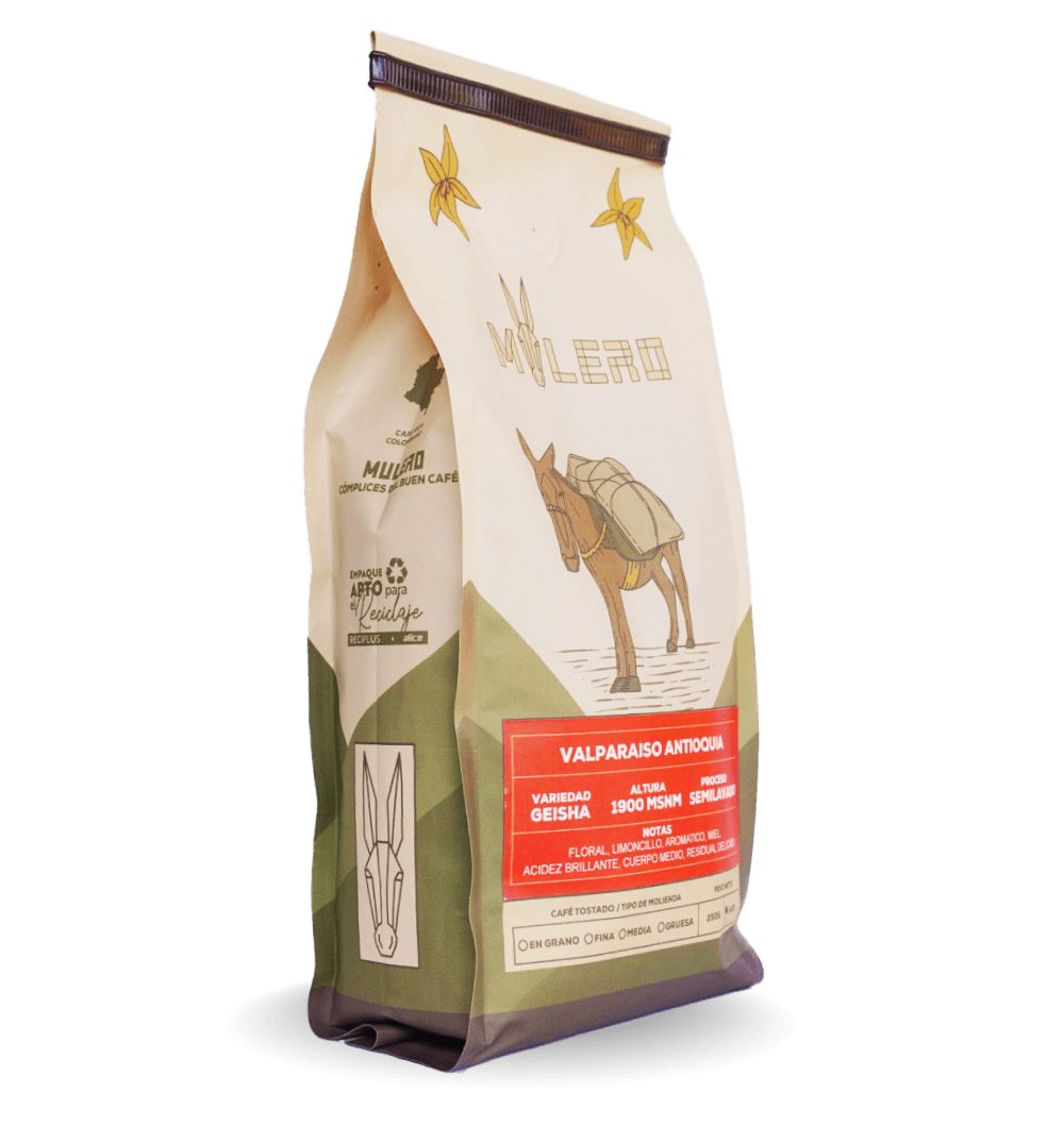 Café Geisha – Una joya en cada taza
