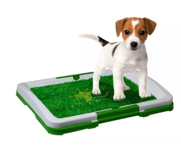 tapete para perro pequeño