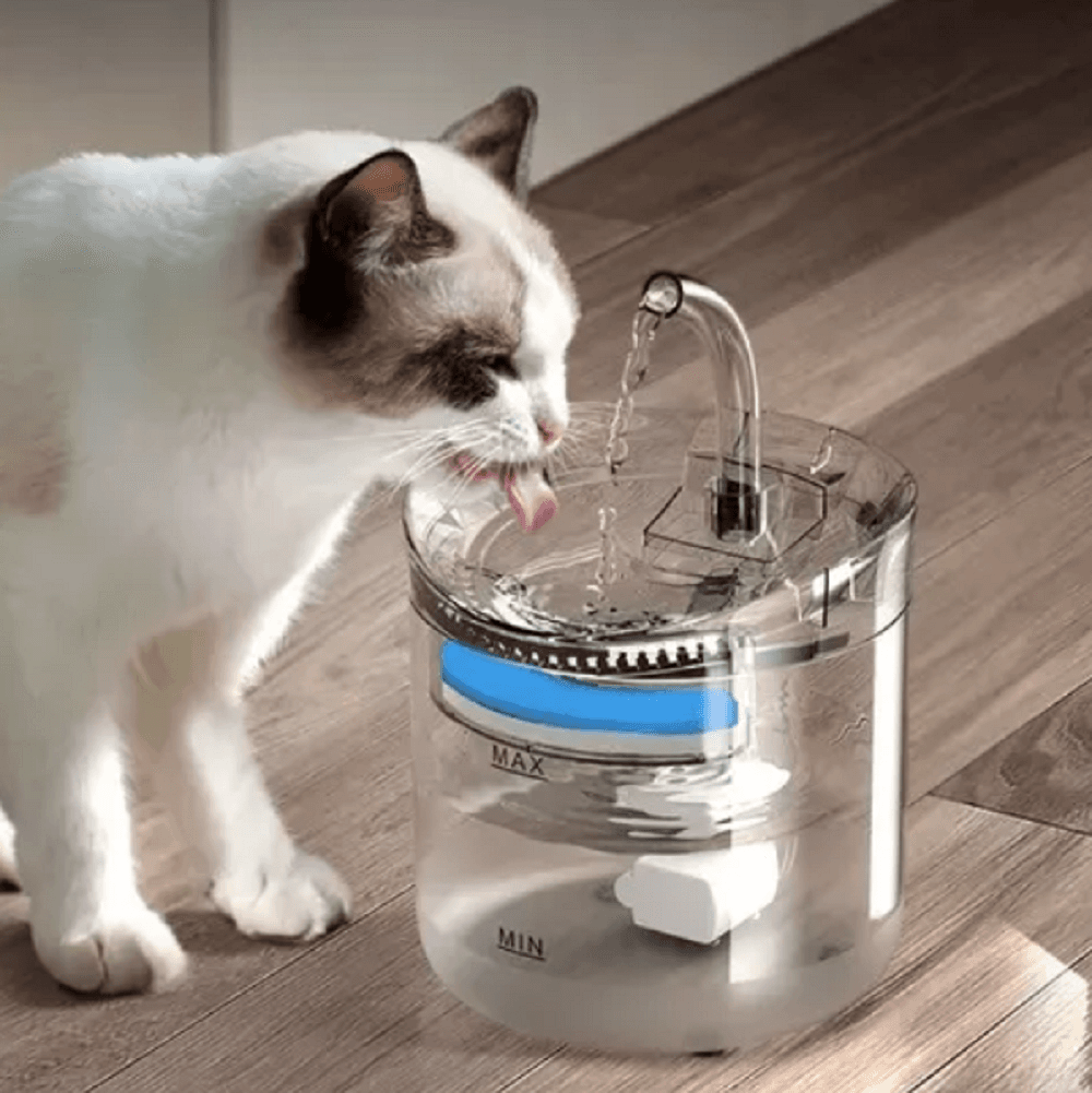 Fuente Para Macotas Con Sensor