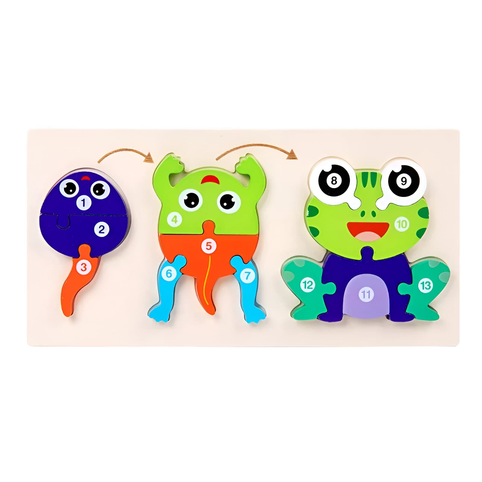 Rompecabezas Evolucion Rana 3d Juego Did
