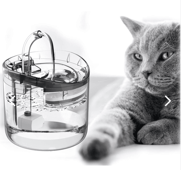 Fuente Bebedero para Gato