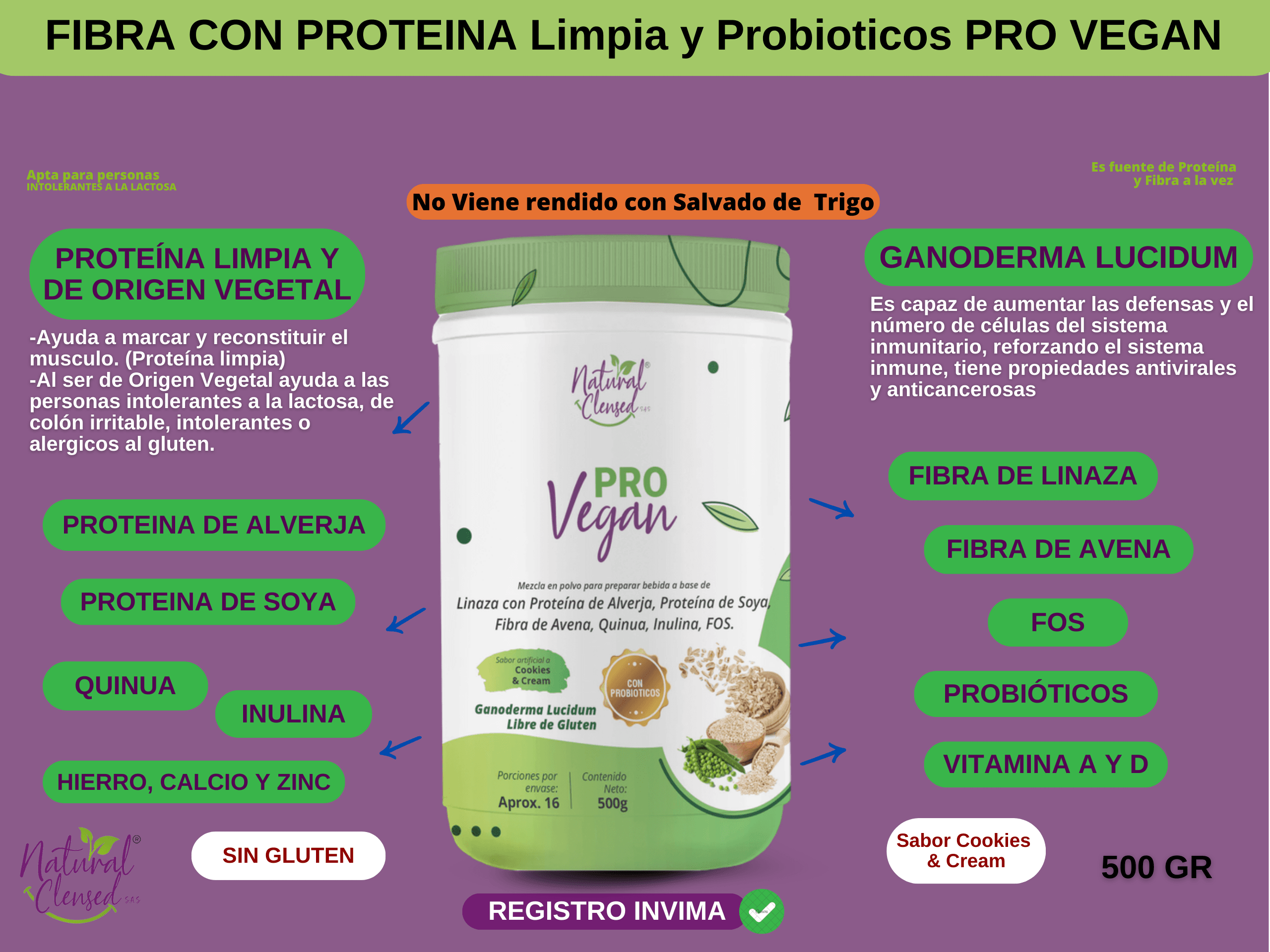 FIBRA CON PROTEINA LIMPIA PRO VEGAN*500G