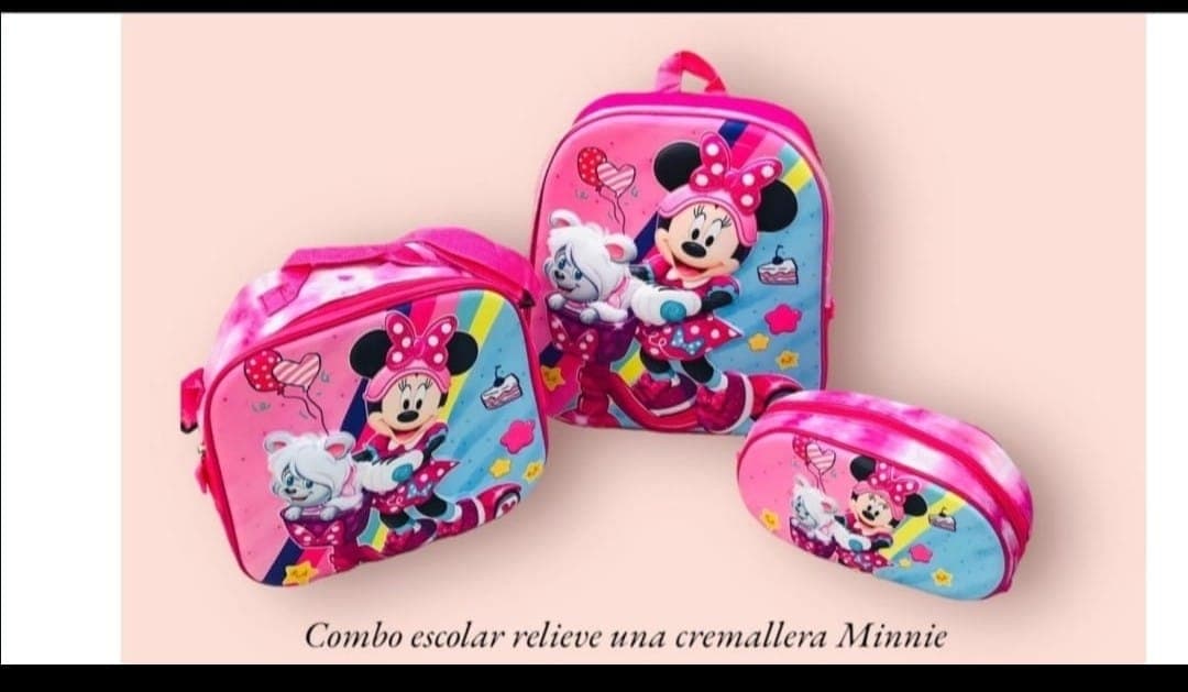 Bolso de minni