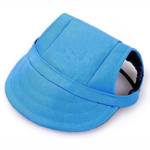 Gorritas para mascotas