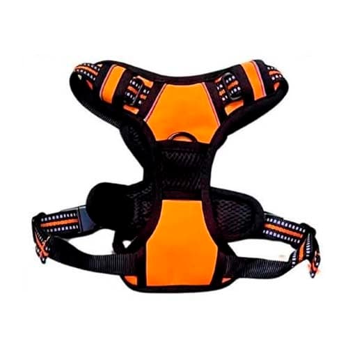 Pechera Para Perro Mascota