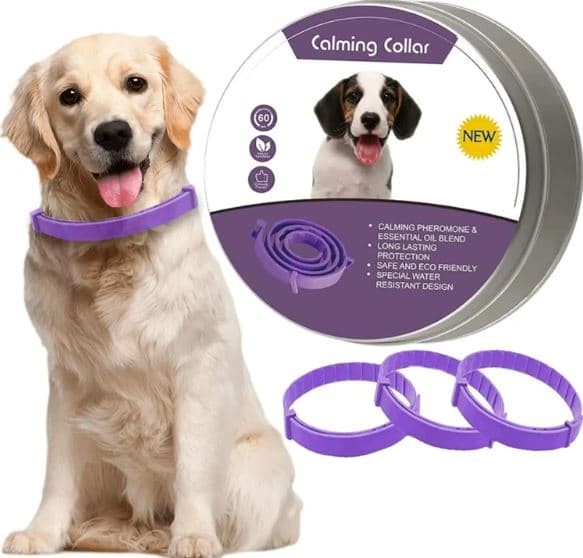 Collar Feromonas Perro