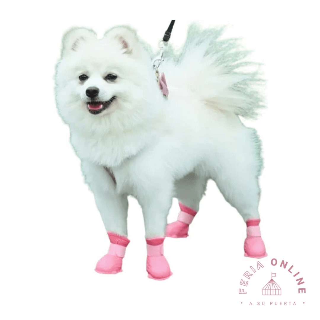 Botas De Silicona Para Mascotas