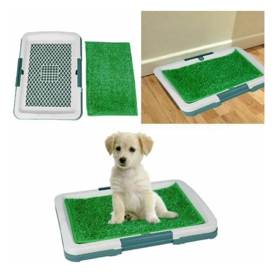 Tapete De Entrenamiento Baño Pequeño