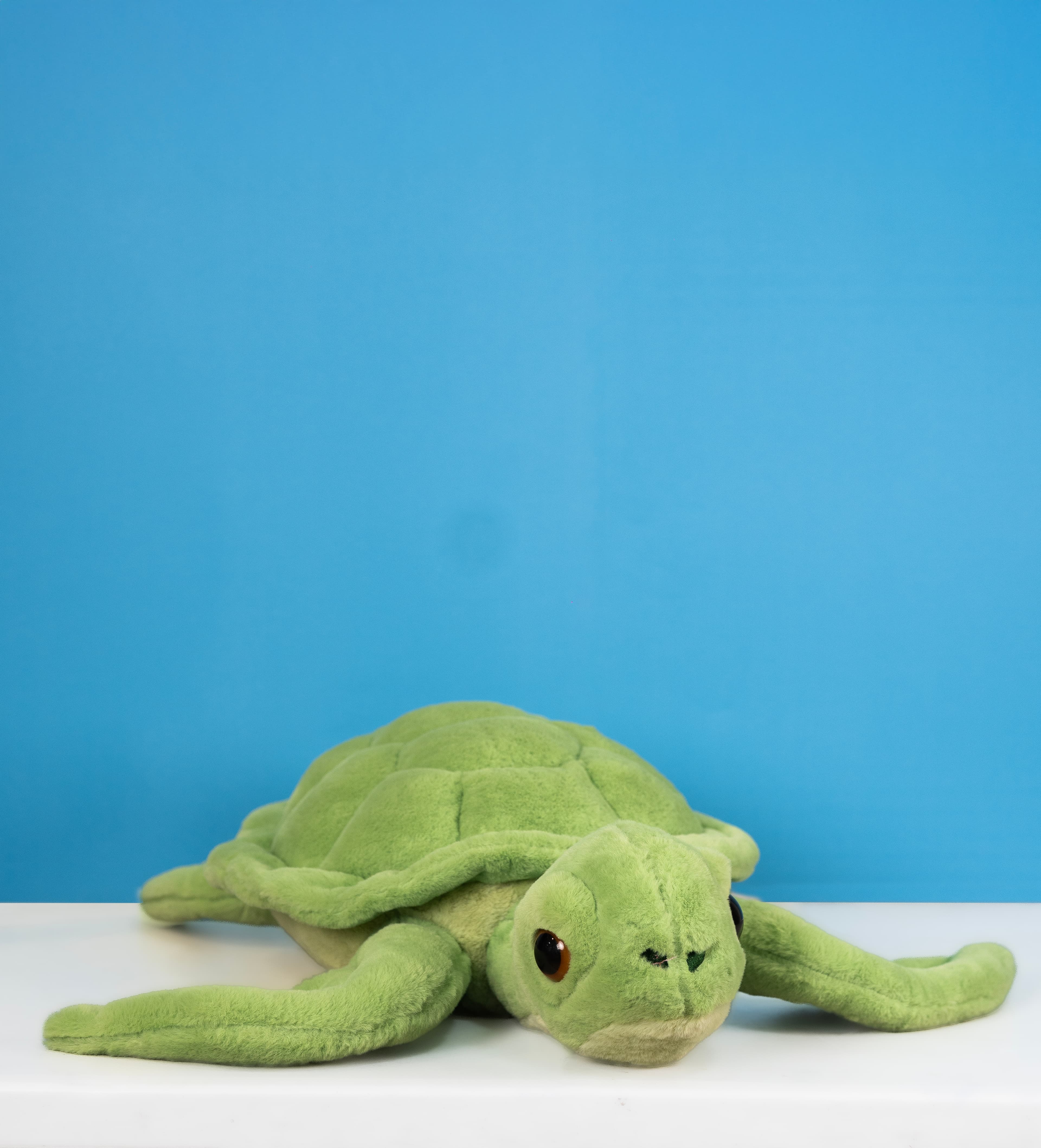 Peluche de Tortuga Marina