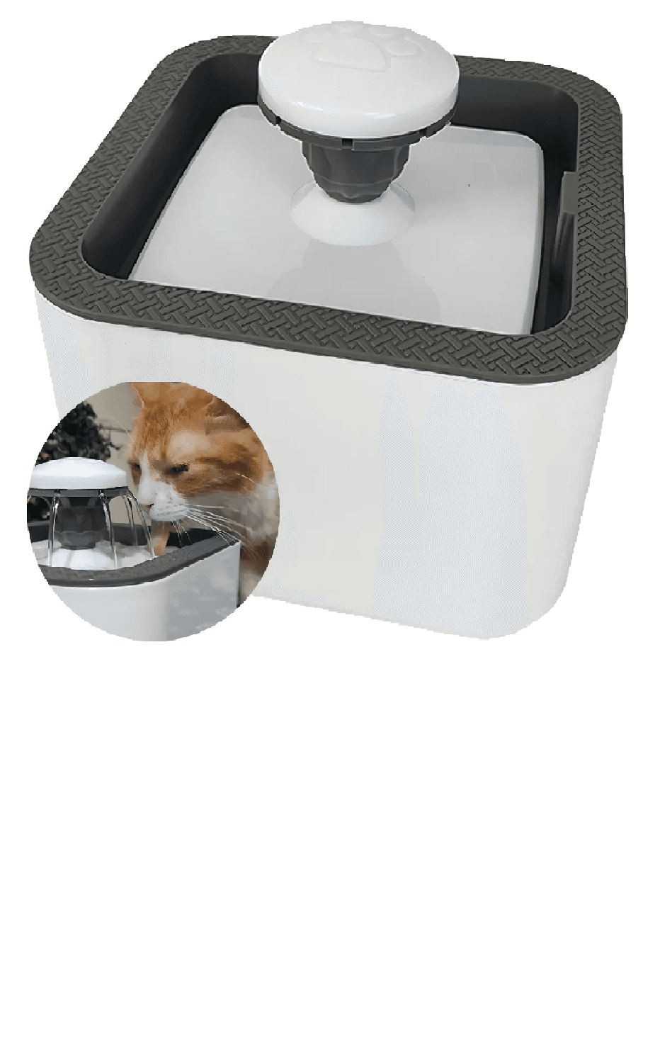 Bebedero para gatos y perros