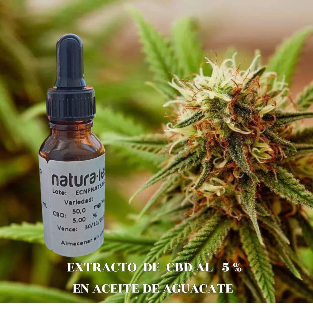 EXTRACTO CBD 5% EN ACEITE AGUACATE 20mL