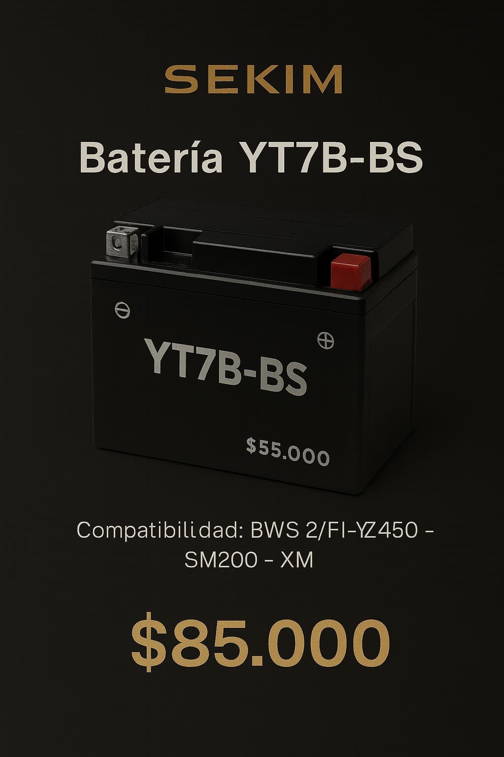 Moto yt7b-bs 12v