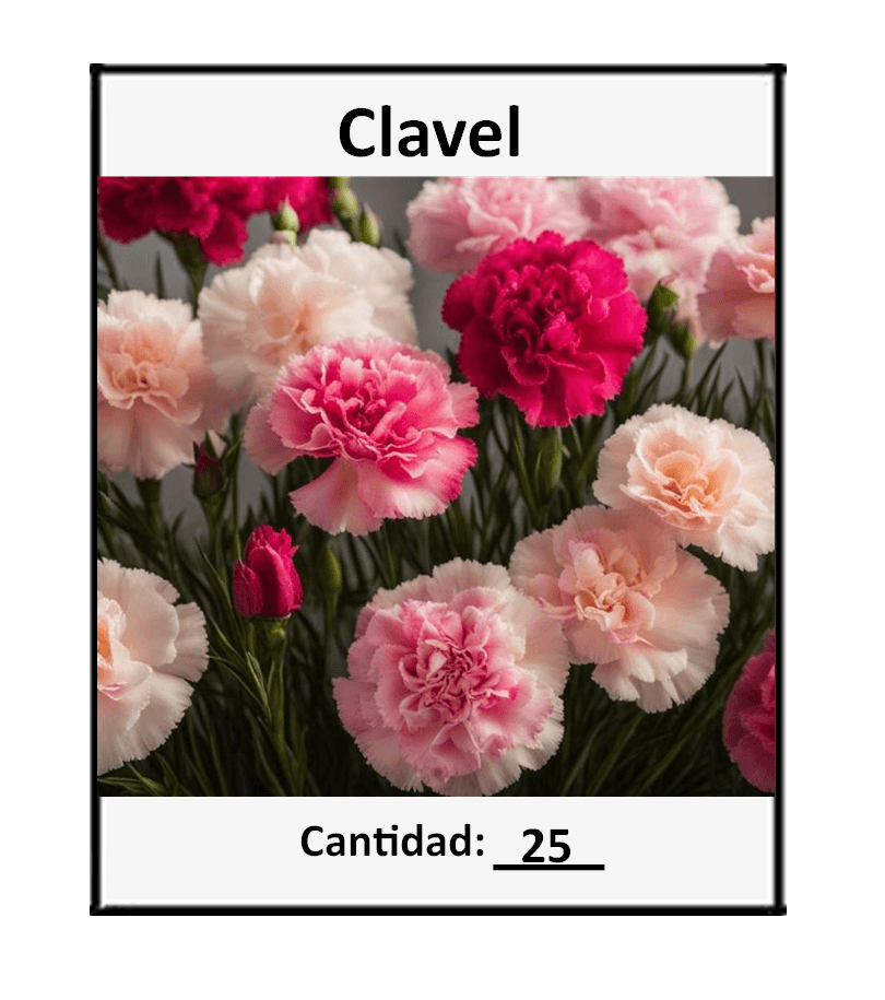 25 semillas de Flor Doble Clavel