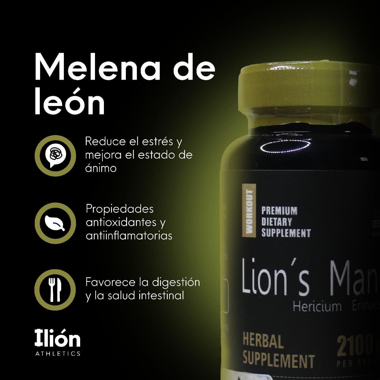 Melena de leon - Workout