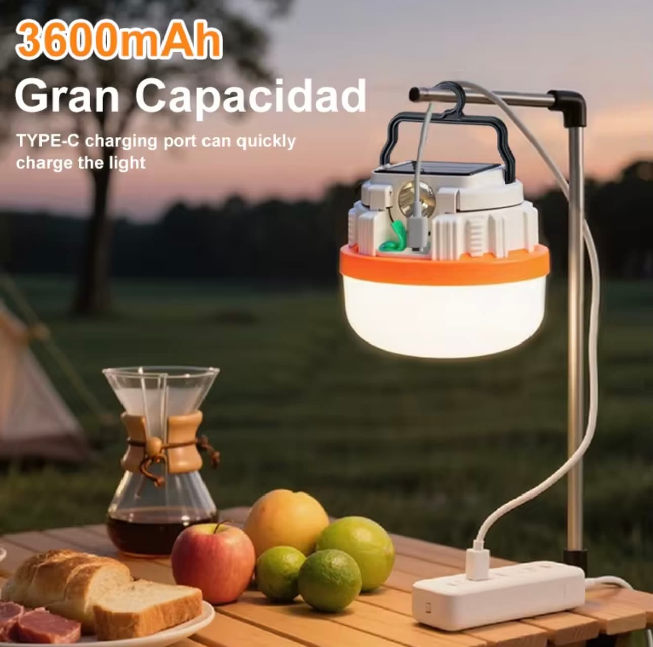 Bombillo con panel 50 W /5V