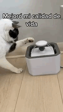 Fuente De Agua Para Mascotas Dog Cat