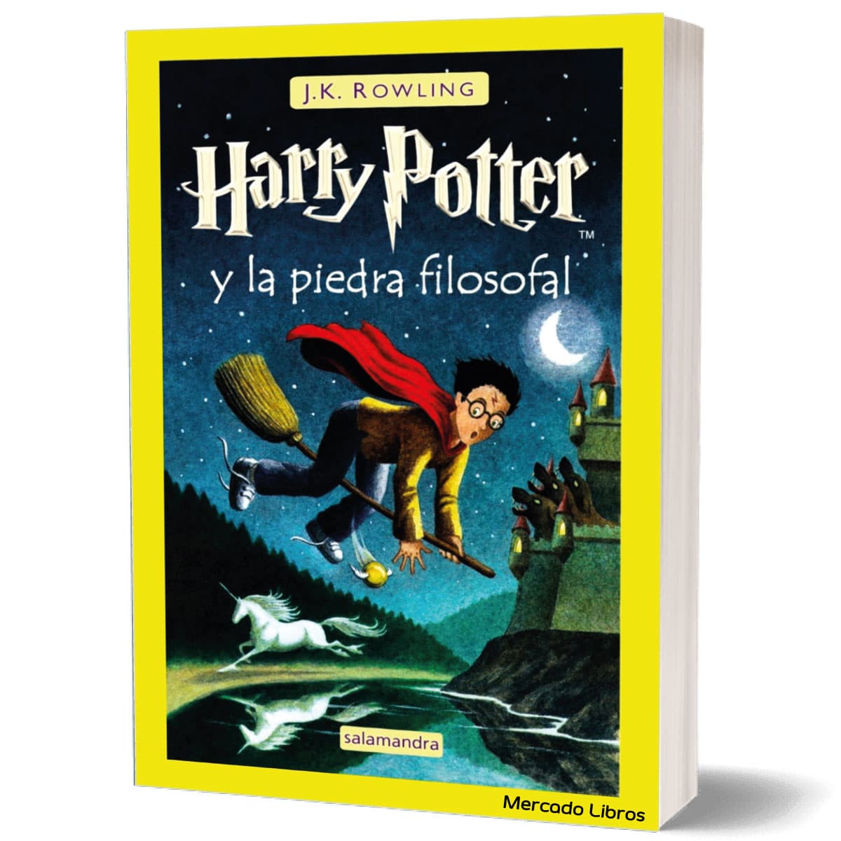 libro HARRY POTTER Y LA PIEDRA FILOSOFAL