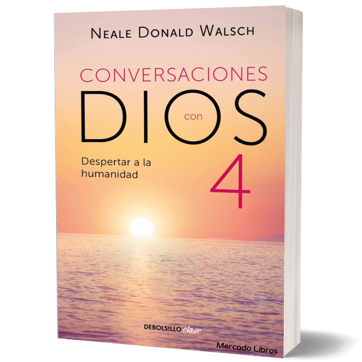Libro CONVERSACIONES CON DIOS 4