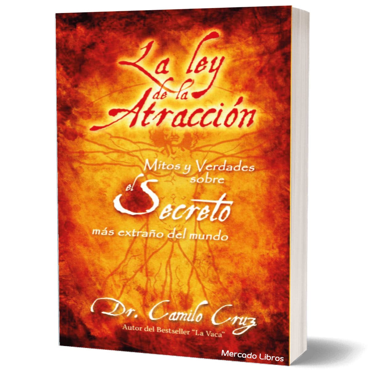 libro LA LEY DE ATRACCION CAMILO CRUZ