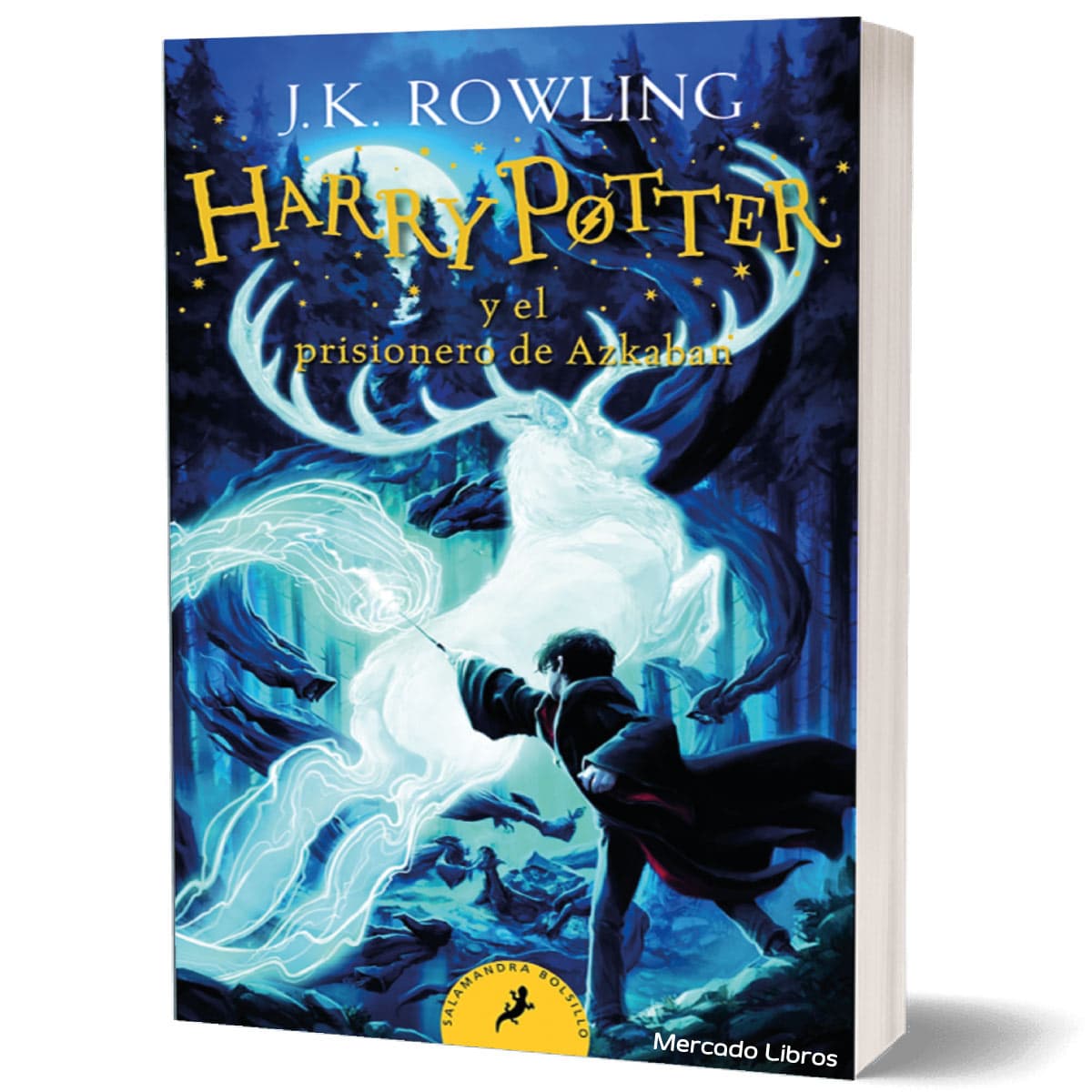 libro HARRY POTTER Y EL CALIZ DE FUEGO