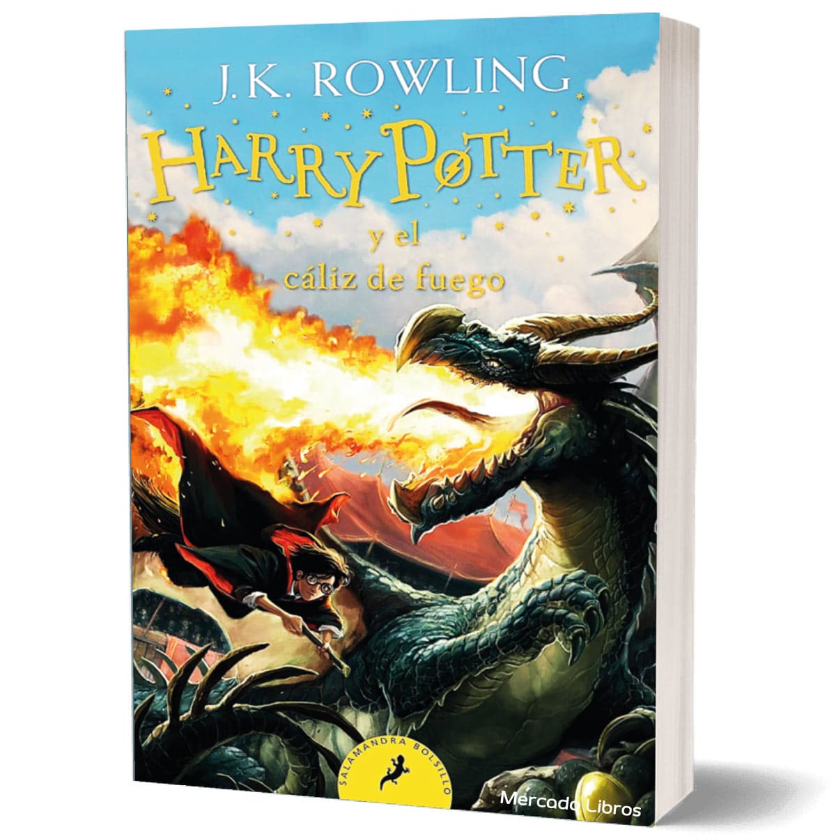 HARRY POTTER Y EL CALIZ DE FUEGO LIBRO