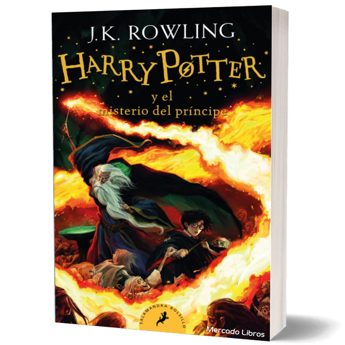libro HARRY POTTER Y EL MISTERIO DEL PRI