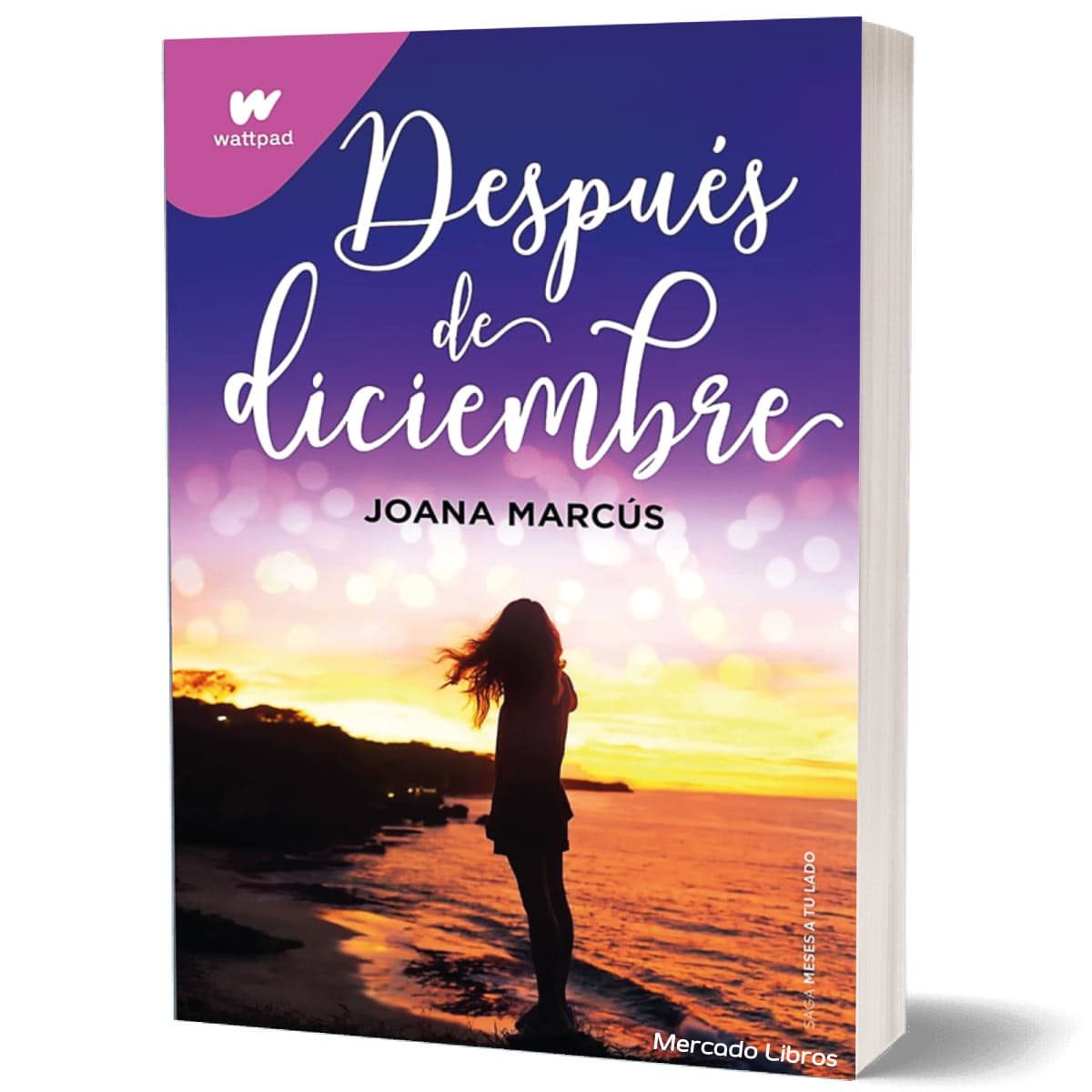 libro DESPUES DE DICIEMBRE Joana Marcús