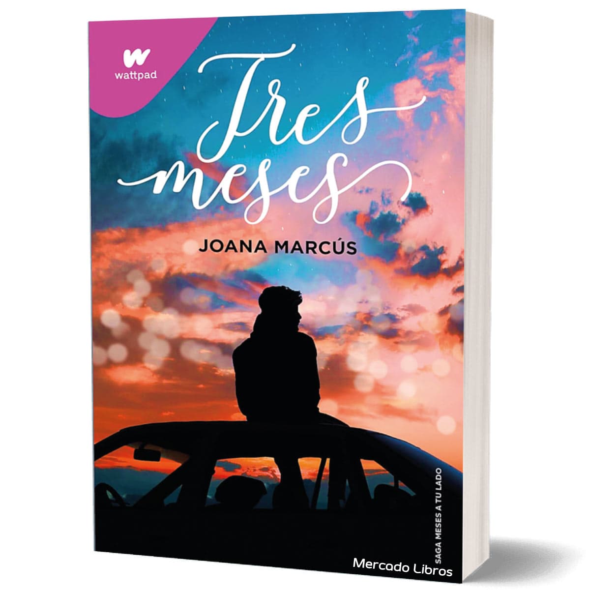 libro TRES MESES Joana Marcús 3