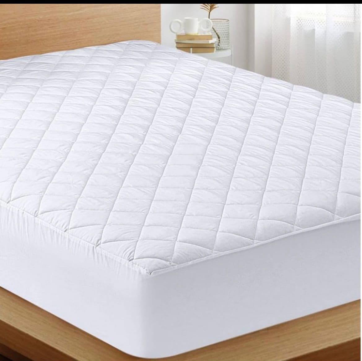 Protector Antifluido