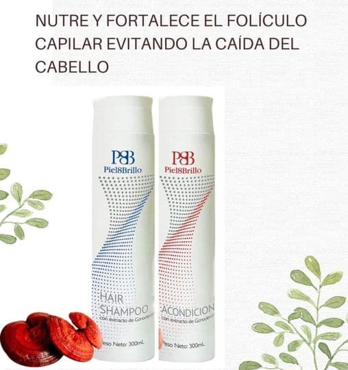 Shampoo Biel y Brillo