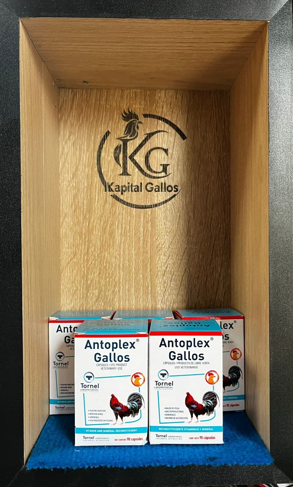 ANTOPLEX GALLOS PASTAS