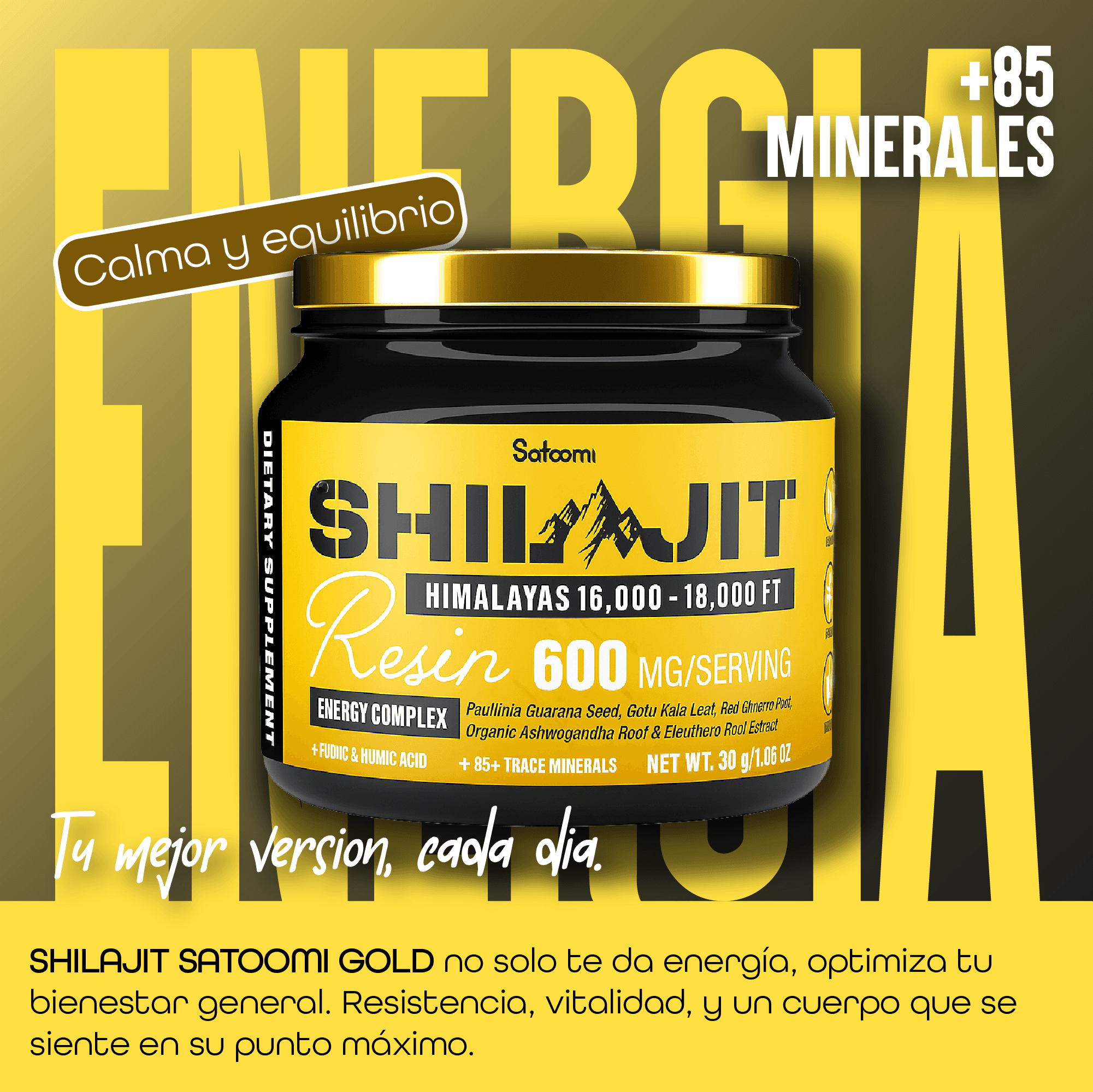 Shilajit gold satomi