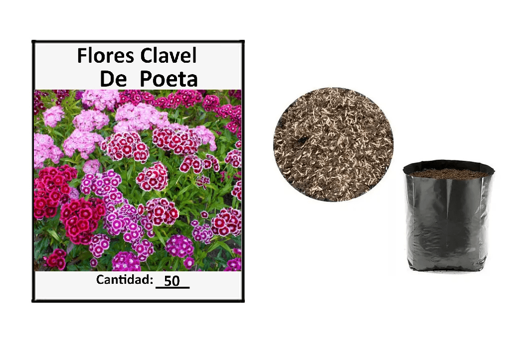 Semillas Clavel Poeta y Tierra Mejorada