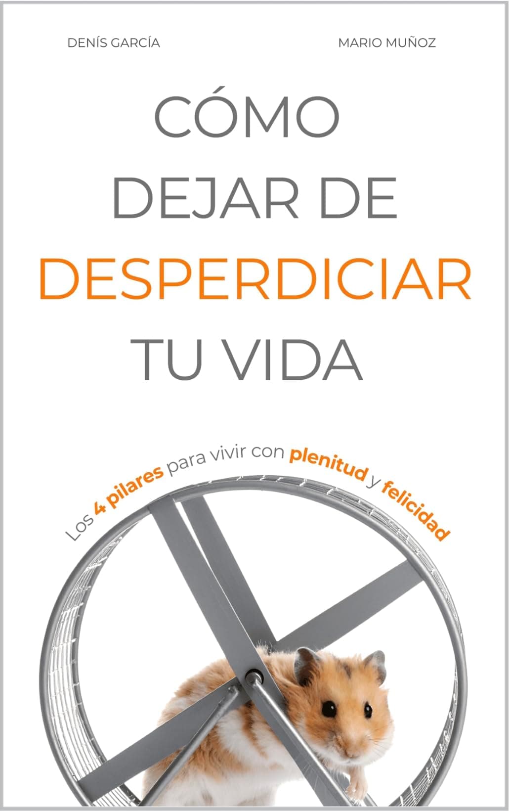 CÓMO DEJAR DE DESPERDICIAR TU VIDA
