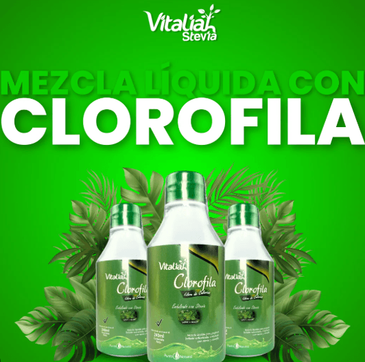 Clorofila 240 mL