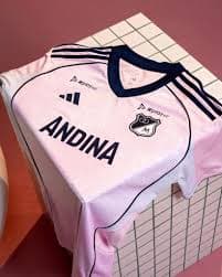 CAMISETA ROSADA MILLONARIOS  2025