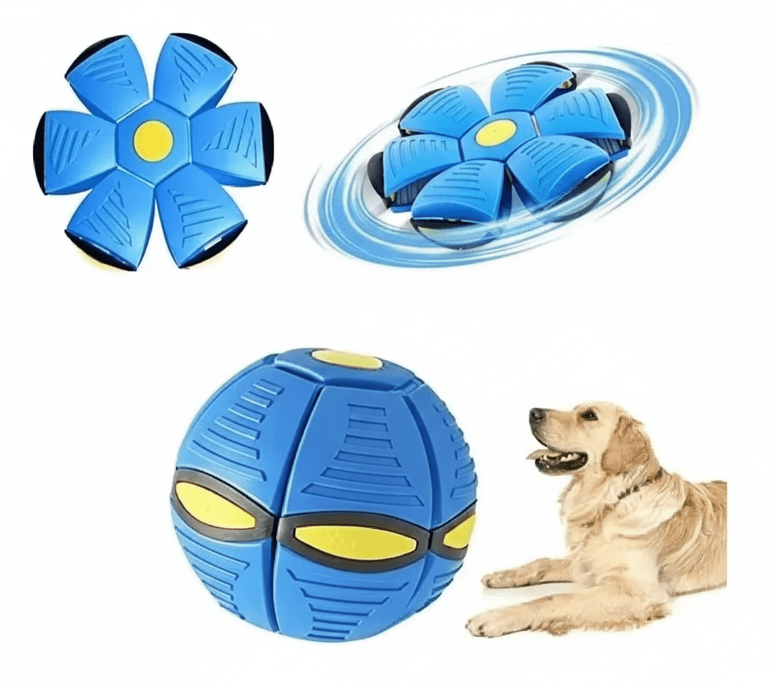Balón Frisby