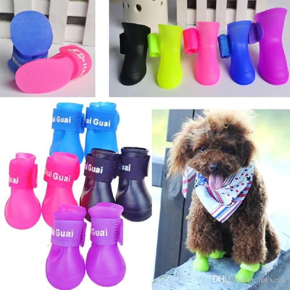 zapatos en silicona perros talla S