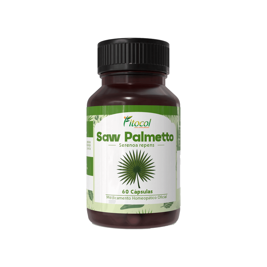 Saw Palmetto