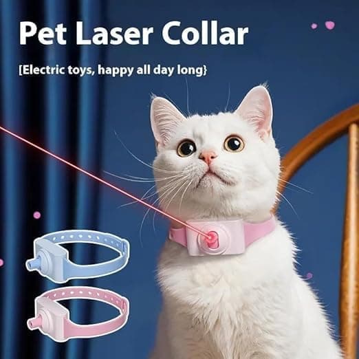 COLLAR GATO LASER