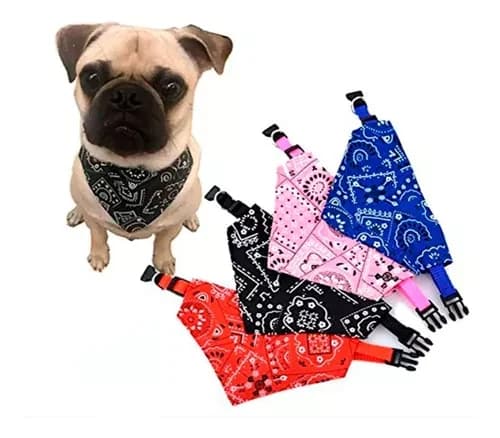 Combo x3 Collar con pañoleta con broches