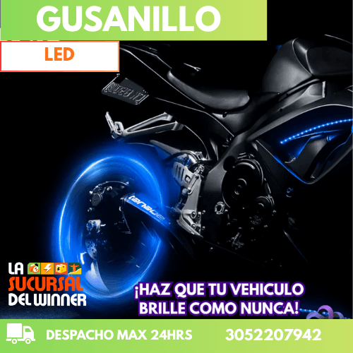 Gusanillo led DROPI CUP