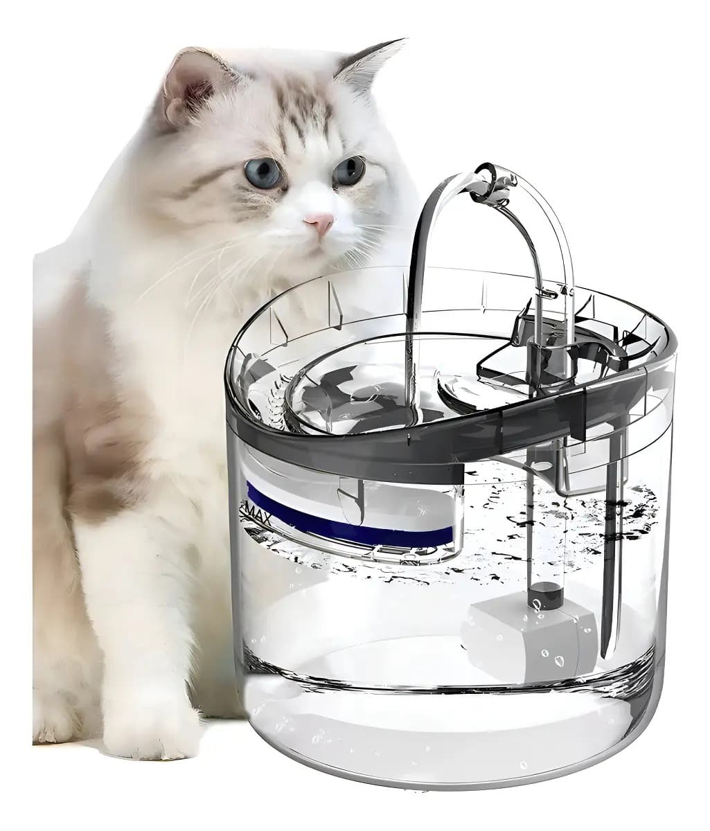 A492 Fuente Para Gatos