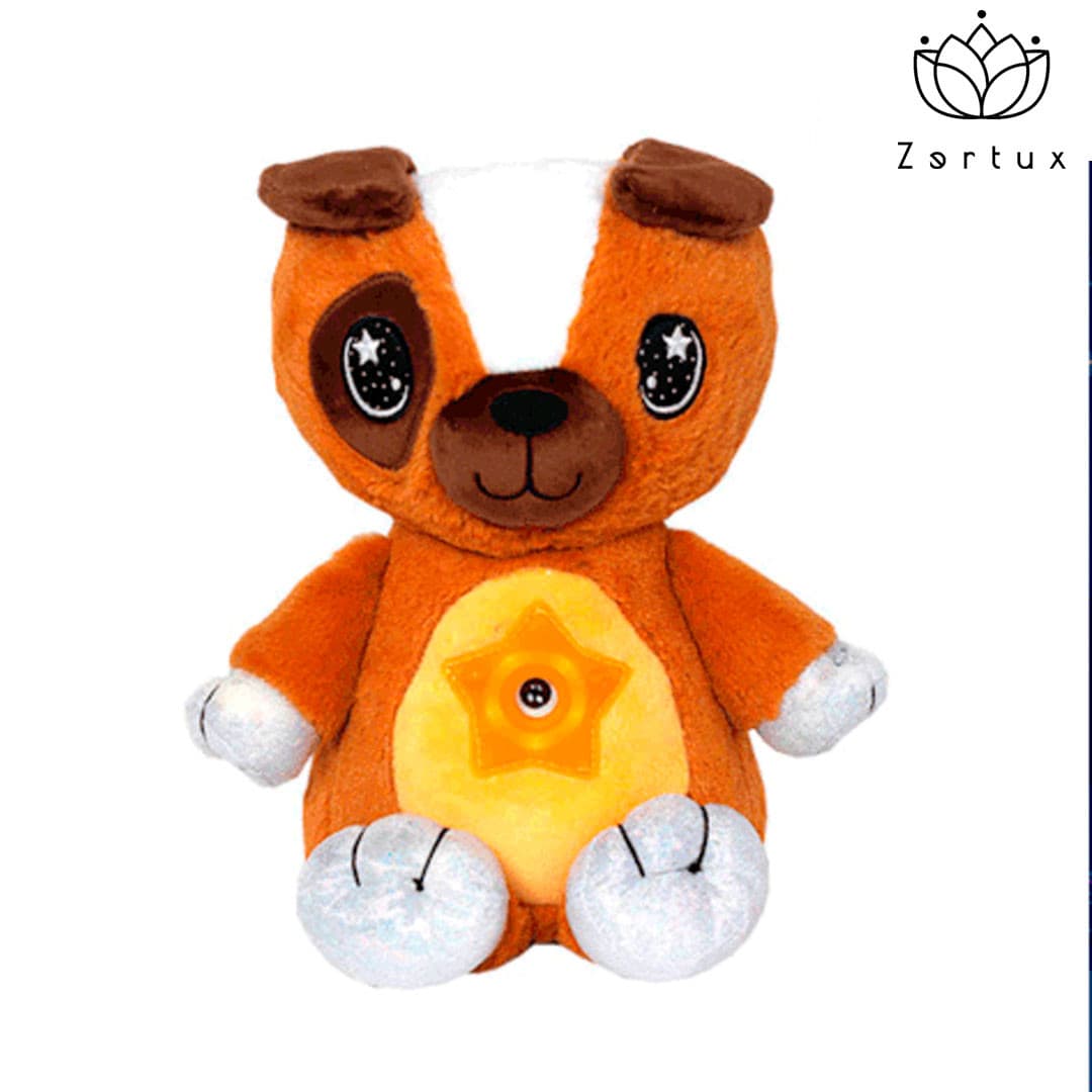 STARBELLY CACHORRO CAFE