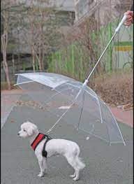 SOMBRILLA PARAGUAS PARA PERRO