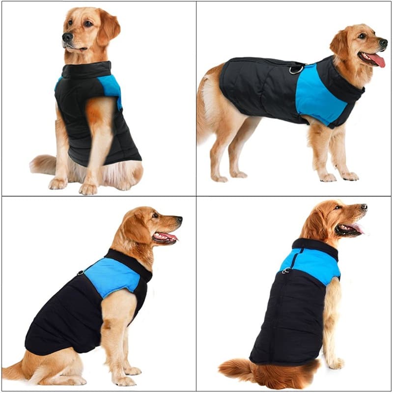 chaleco impermeable mascota talla L