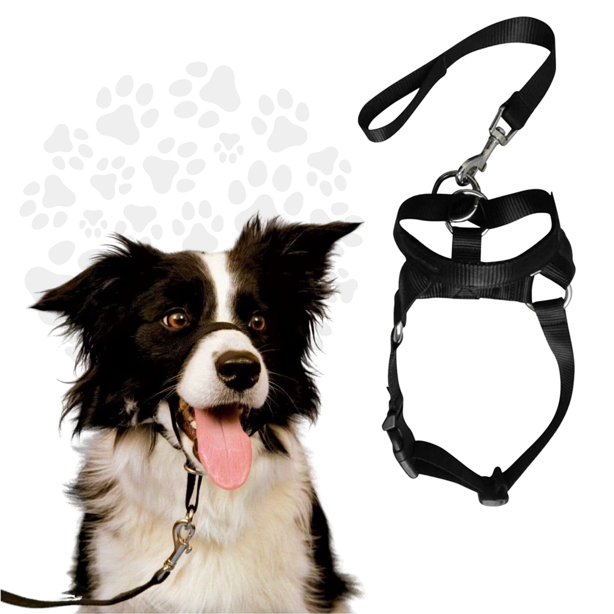 Collar Bozal De Entrenamiento Halti